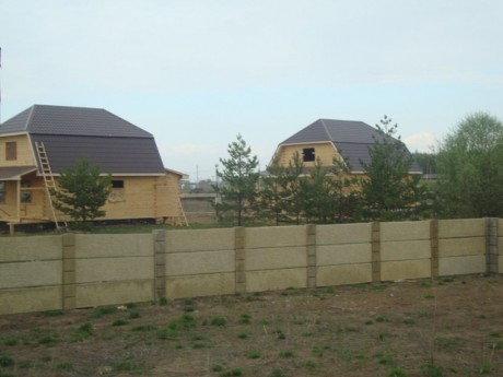 dubnik 12