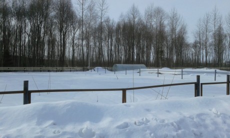 dubnik01