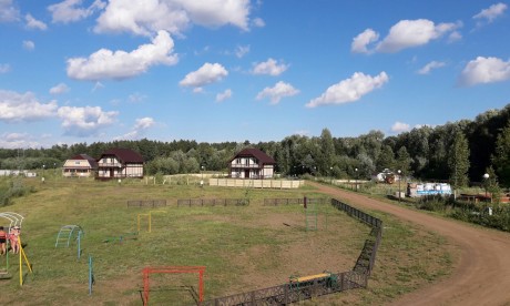 dubniki1