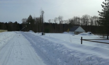 dubniki21
