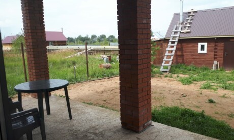 dubniki2608201911